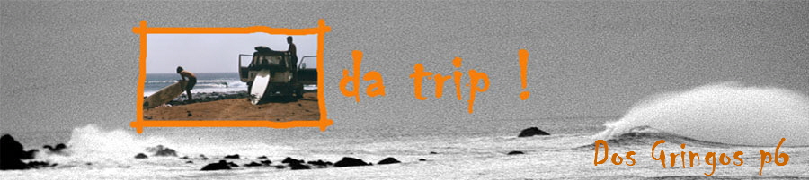 Dos Gringos p6