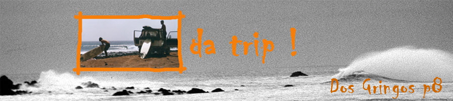 Dos Gringos p8