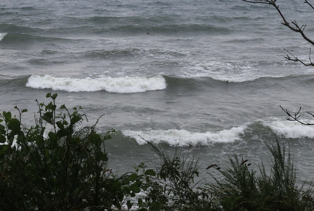 2-Oceans-23