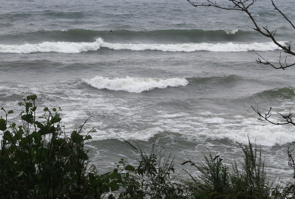 2-Oceans-24