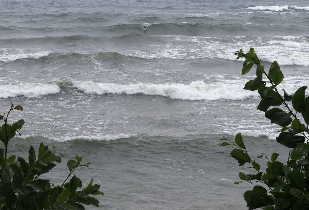 2-Oceans-25