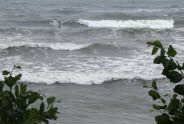 2-Oceans-28