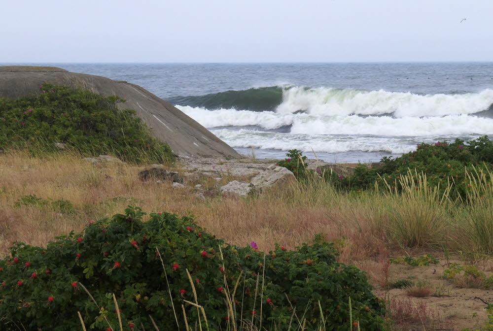 2-Oceans_61