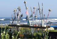 2-Oceans_76