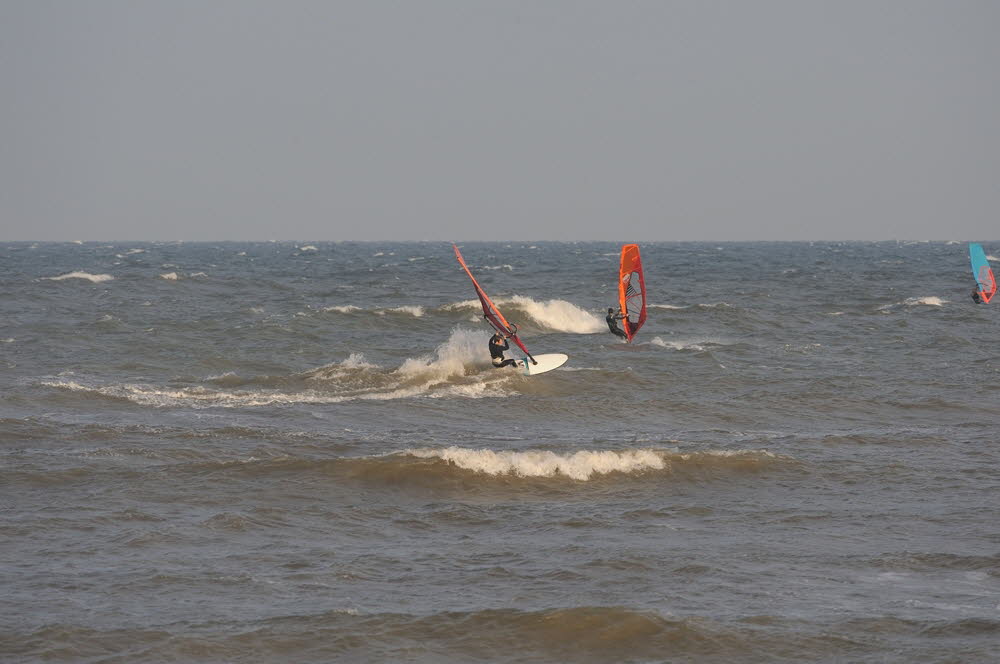 DS-19-45