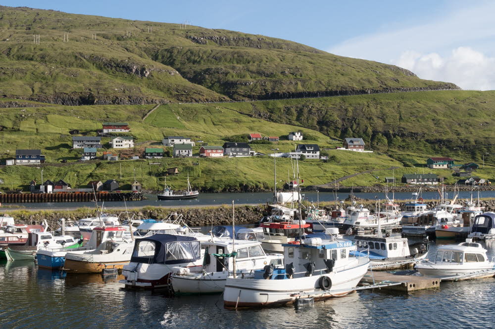 Faroer-17-0537-Vestmanna_44