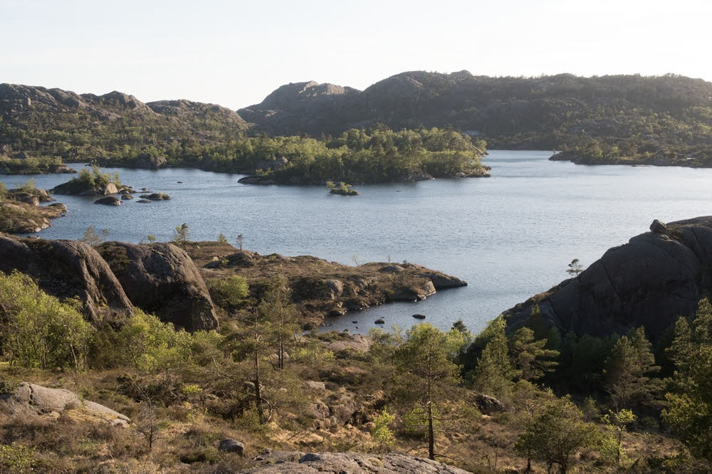 Mjelkevatnet-22-20
