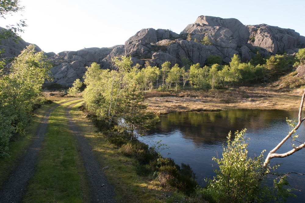 Mjelkevatnet-22-21