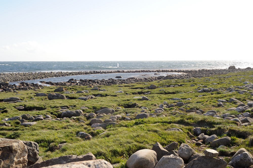Pi-Point-2010-038