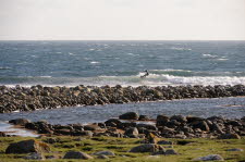 Pi-Point-2010-041