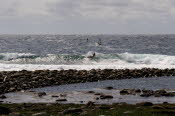 Pi-Point-22-011