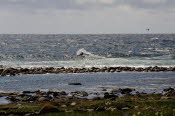 Pi-Point-22-012