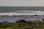 Pi-Point-22-093