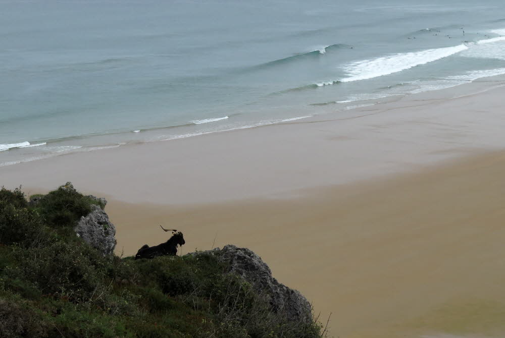 Playa-de-Berria-15-6170_11