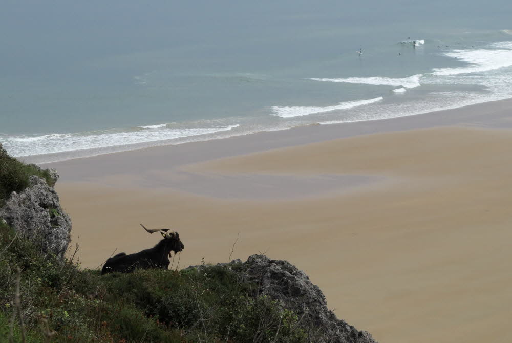 Playa-de-Berria-15-6224_1