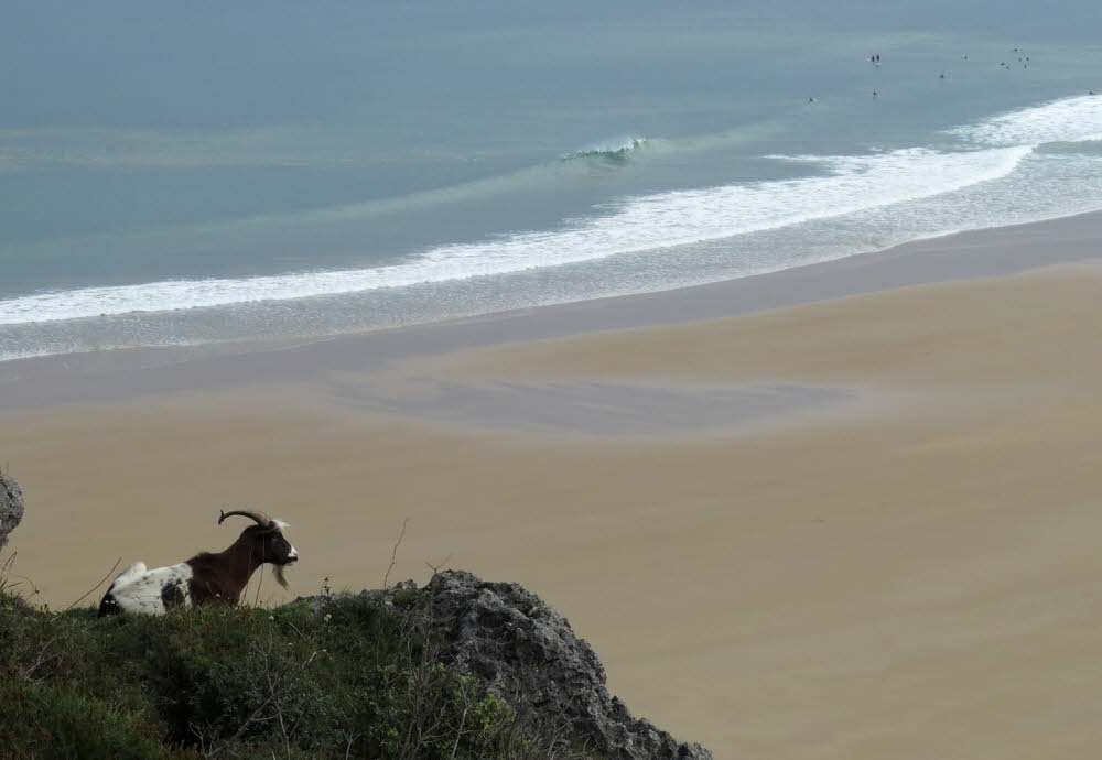 Playa-de-Berria-15-6231_7