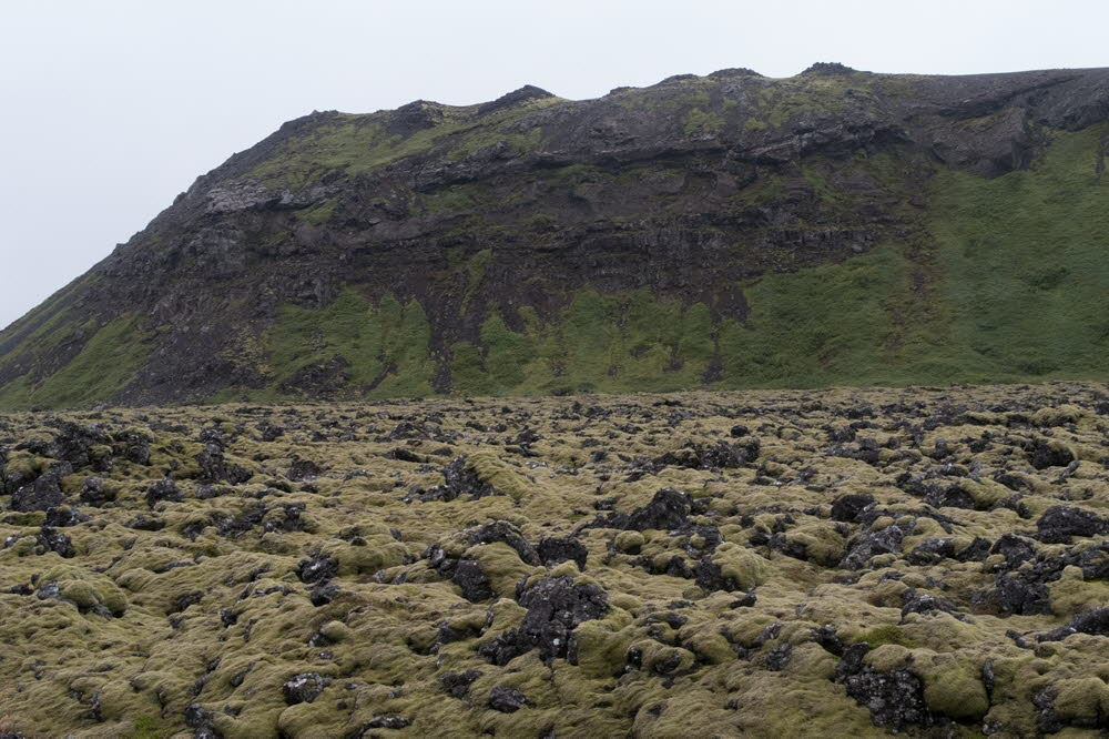 Reykjanes-geo-park-17-3130_2_1