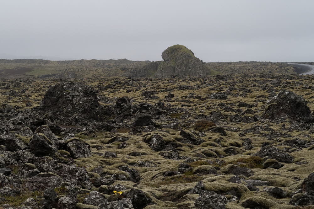 Reykjanes-geo-park-17-3131_3_2