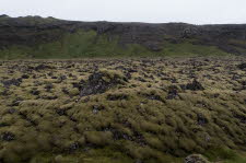 Reykjanes-geo-park-17-3134_6_4