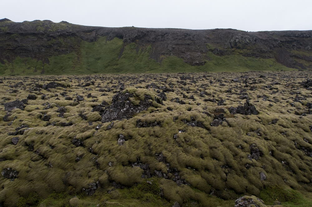 Reykjanes-geo-park-17-3134_6_4