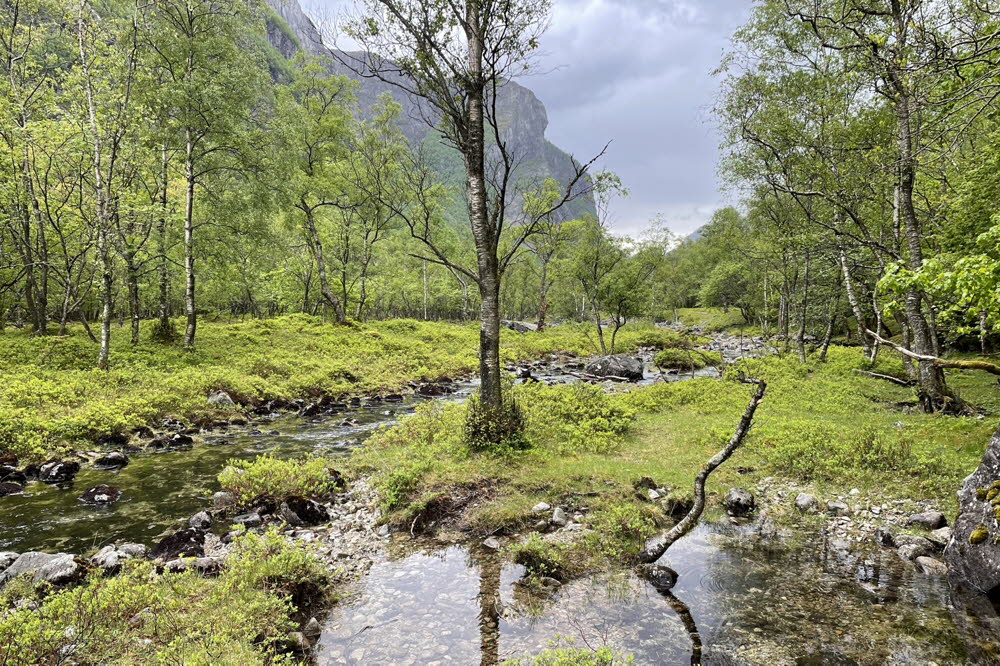 Rossdalen-22-12