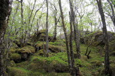 Varnes-10-01