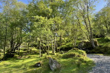 Varnes-22-02