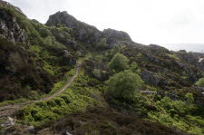 Varnes-22-11