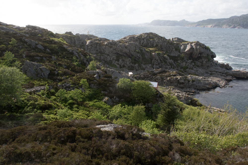 Varnes-22-12