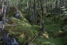 Varnes-22-15