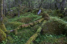 Varnes-22-16