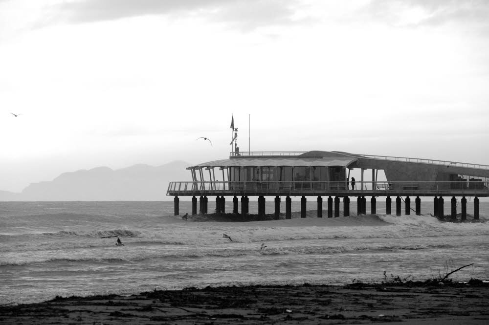 Viareggio-13-6971_17