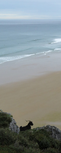 Cantabria-29vl