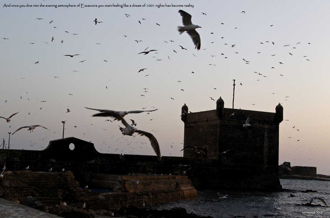 Moulay-10
