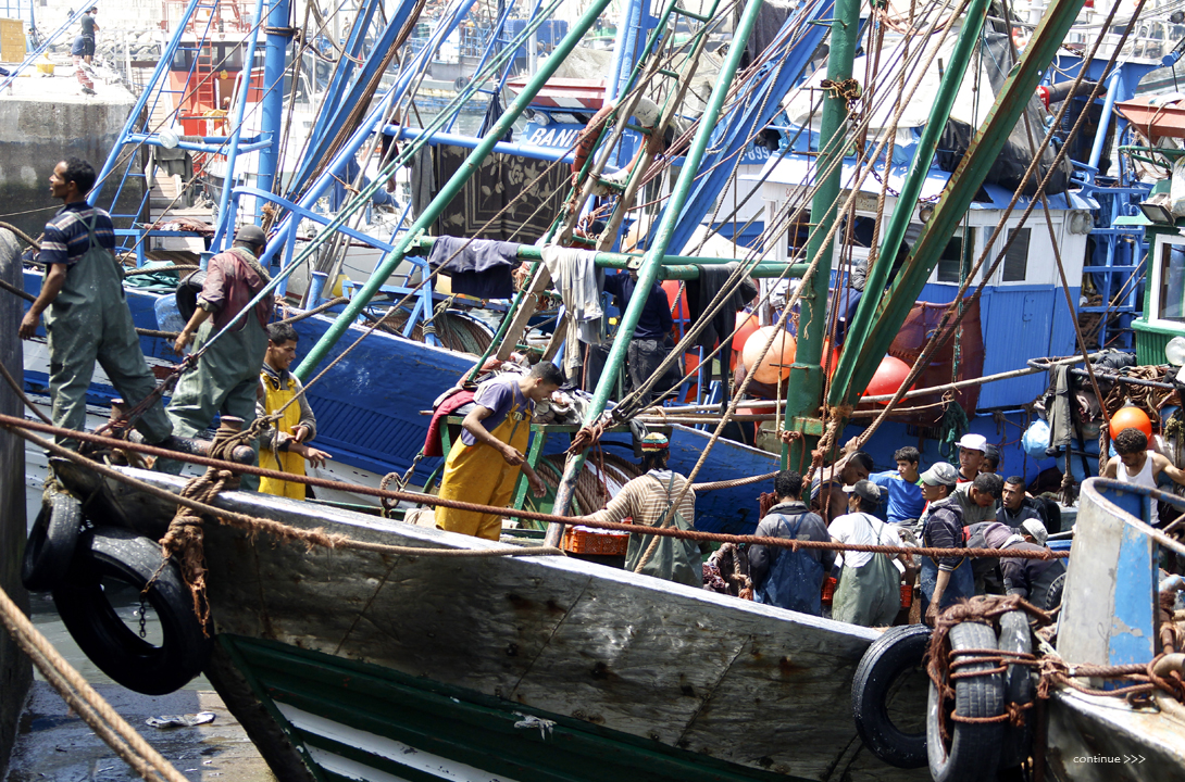 Moulay-13