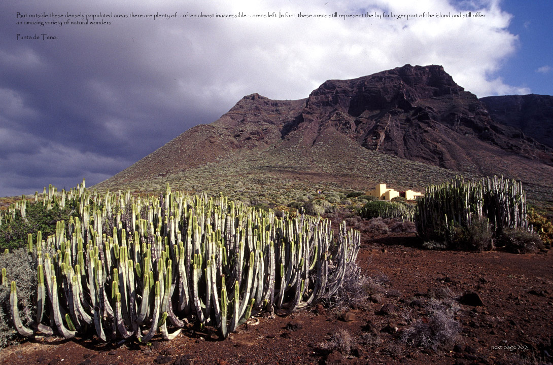 Tenerife-08