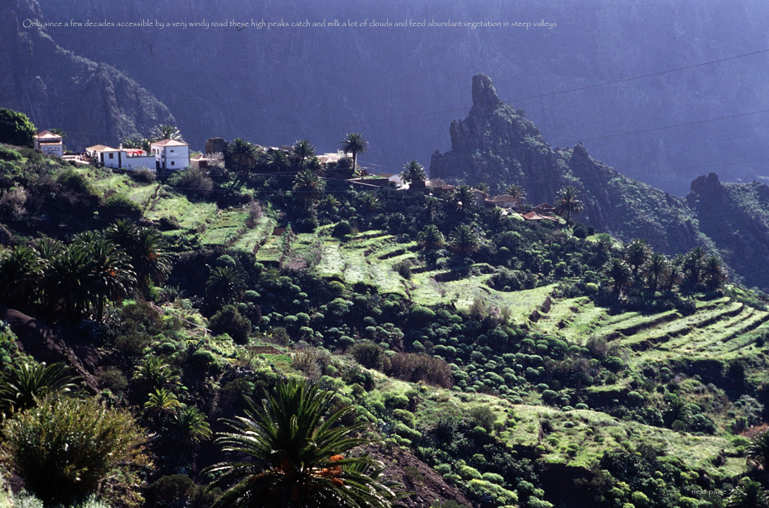 Tenerife-10