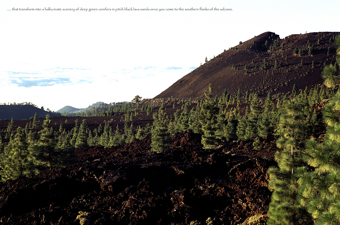 Tenerife-14