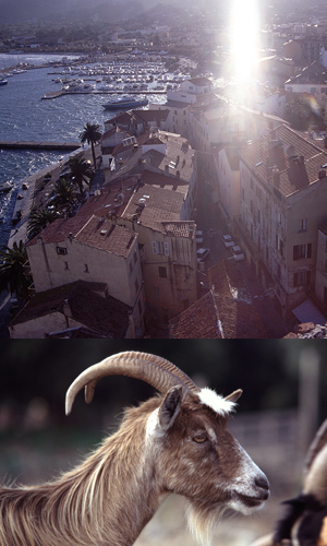 Corsica-13vr