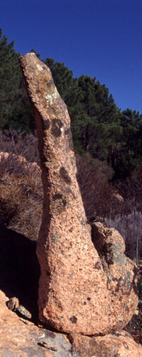Corsica-19vl