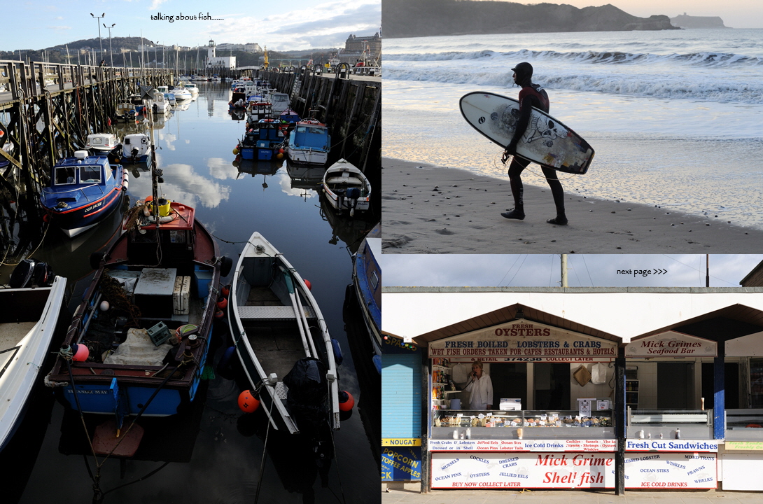 Splendid-Isolation-17