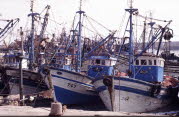 Essaoira-Hafen-87-0002_2