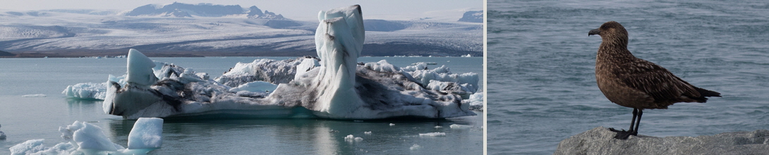 Ice-EP14-04h